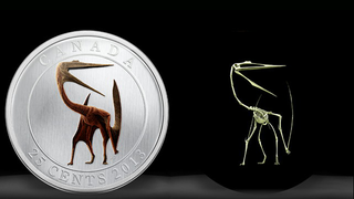 New Canadian coin features the incredibly badass Quetzalcoatlus — <em>and</em> it glows in the dark